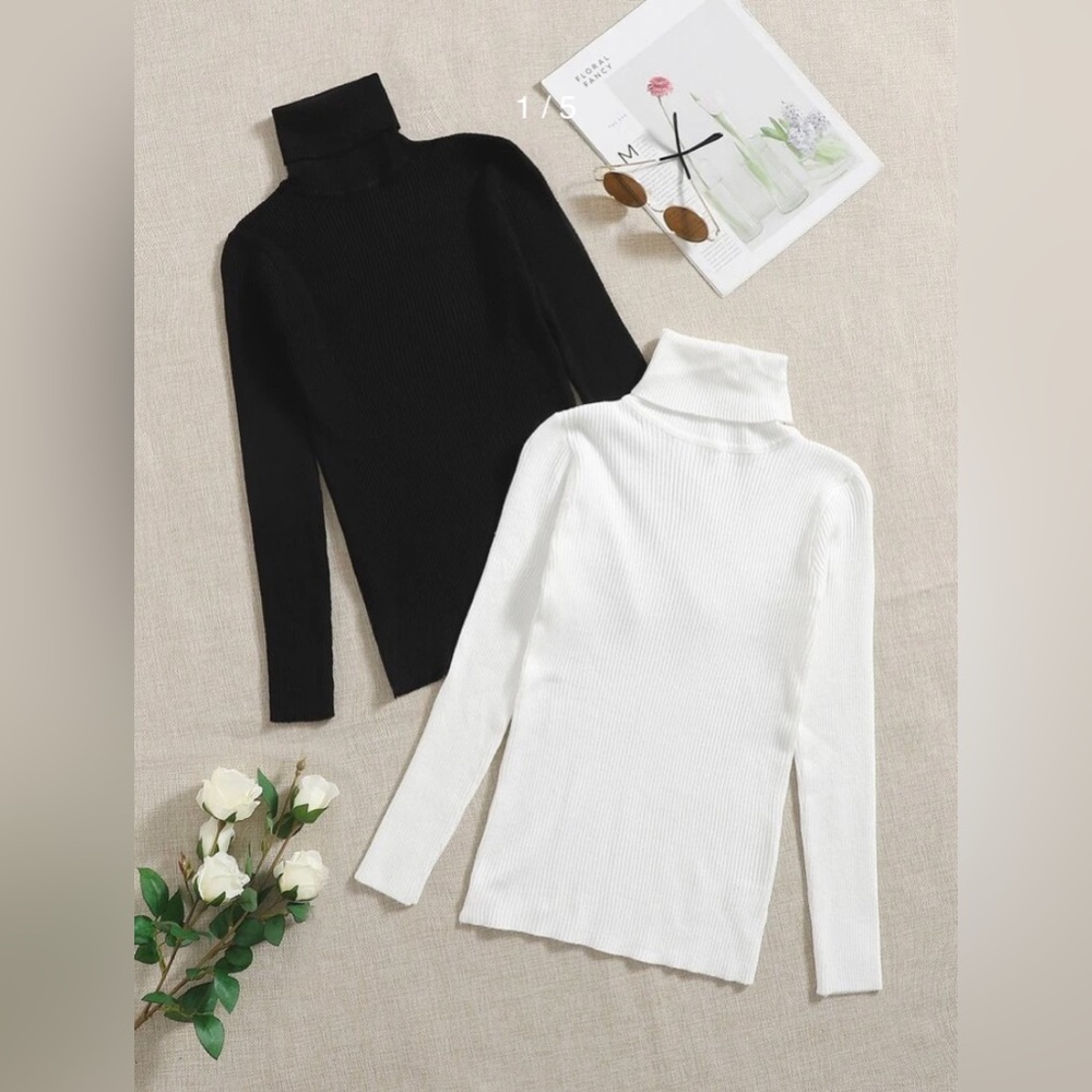 Ribbed Turtle Neck